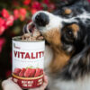 Akinu VITALITY Hovězí jemně krájená svalovina konzerva pro psy 400 g